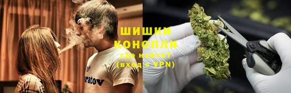 сатива Алексеевка