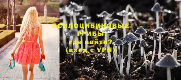 сатива Алексеевка