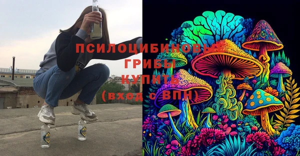 прущие грибы Алексин
