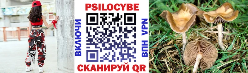 Псилоцибиновые грибы мицелий  Феодосия 